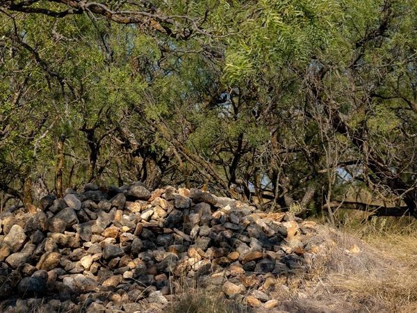 TBD County Road 242, Clyde, TX 79510