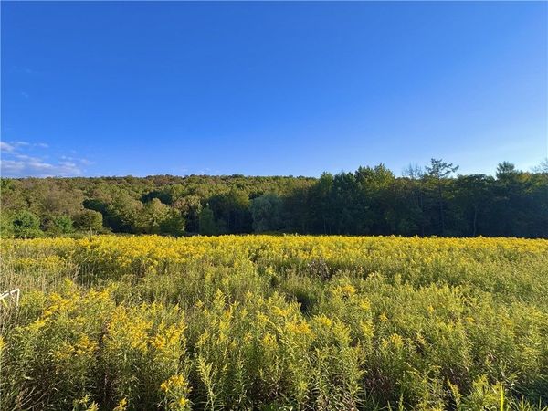 0 Campbell Road, Franklin, NY 13775