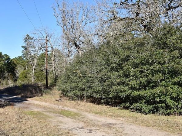 8900 FM 229, Grapeland, TX 75844