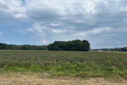 0 Cardinal Road photo 4