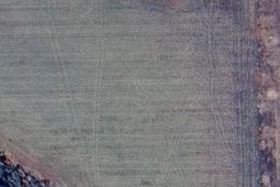 0 Cardinal Road photo 4