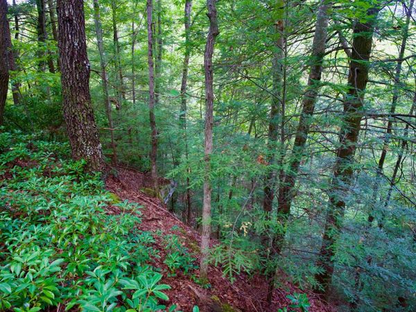 0 Fikes Field Rd & Greenfield Rd, Spencer, TN 38585