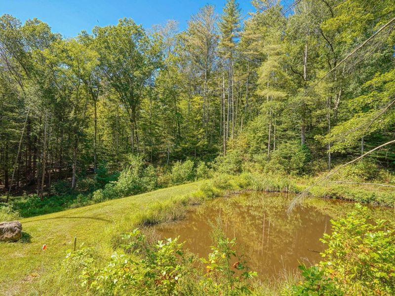 26501 Sowers Road, McArthur, OH 45651 Photo 15