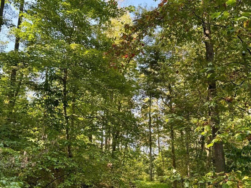 26501 Sowers Road, McArthur, OH 45651 Photo 16