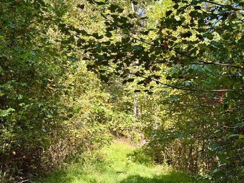 26501 Sowers Road, McArthur, OH 45651 Photo 27