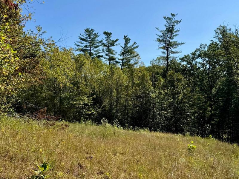 26501 Sowers Road, McArthur, OH 45651 Photo 29