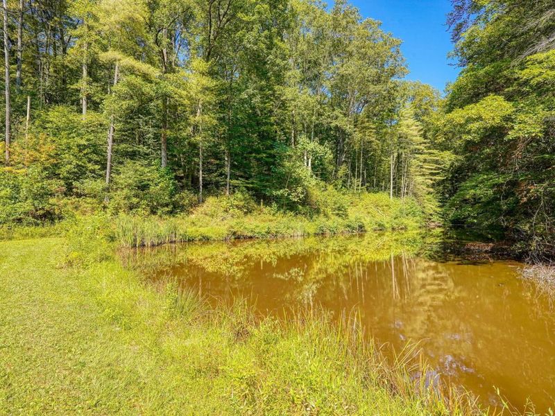 26501 Sowers Road, McArthur, OH 45651 Photo 49