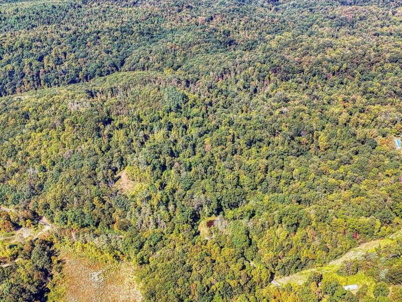 26501 Sowers Road, McArthur, OH 45651 Photo 50