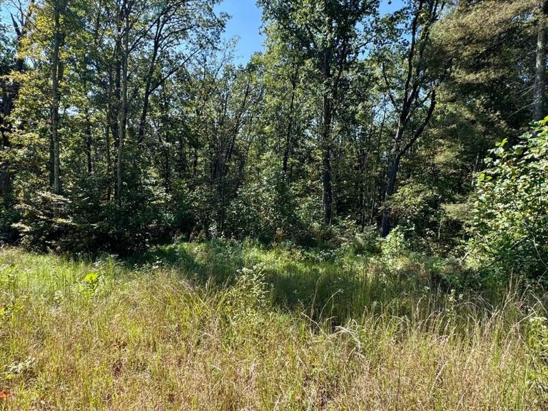 26501 Sowers Road, McArthur, OH 45651 Photo 51