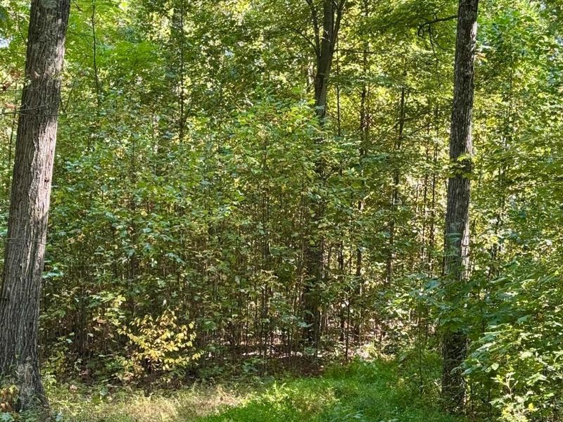 26501 Sowers Road, McArthur, OH 45651 Photo 52