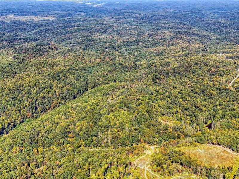 26501 Sowers Road, McArthur, OH 45651 Photo 55