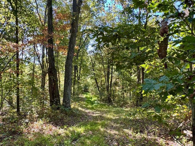 26501 Sowers Road, McArthur, OH 45651 Photo 60