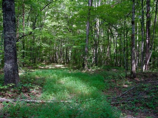 0 Fikes Field Rd & Greenfield Rd, Spencer, TN 38585