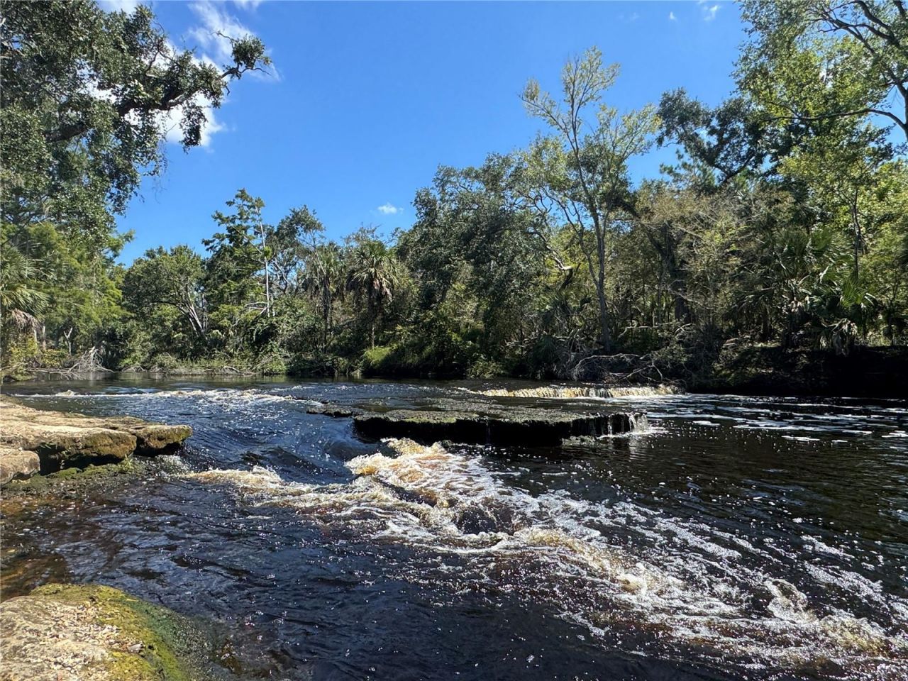 Hwy 51 Ne, Steinhatchee, FL 32359 Photo