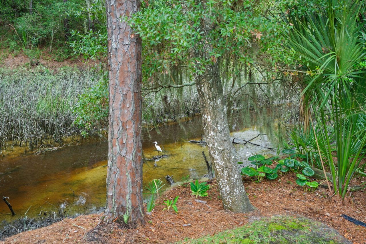 297 Saltmeadow Cove Photo 30