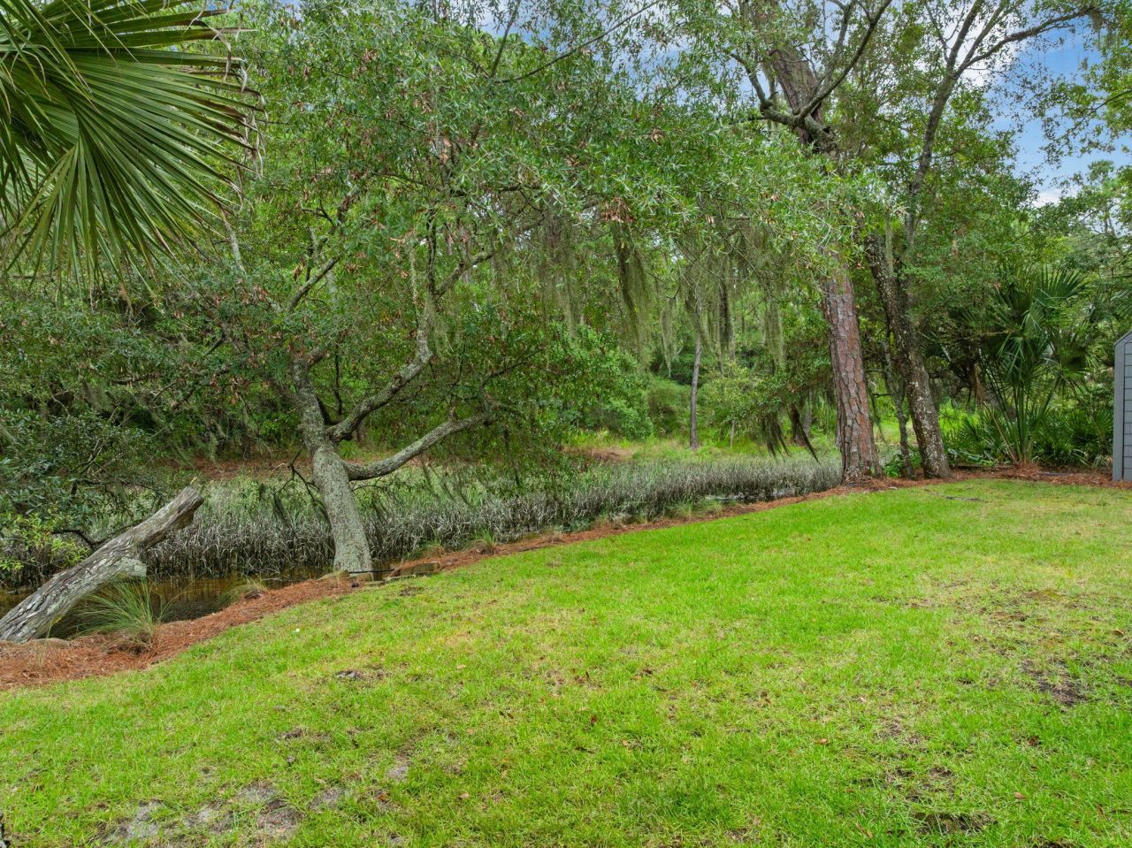 297 Saltmeadow Cove Photo 35