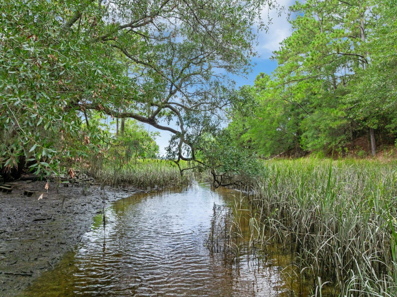 297 Saltmeadow Cove Photo 36