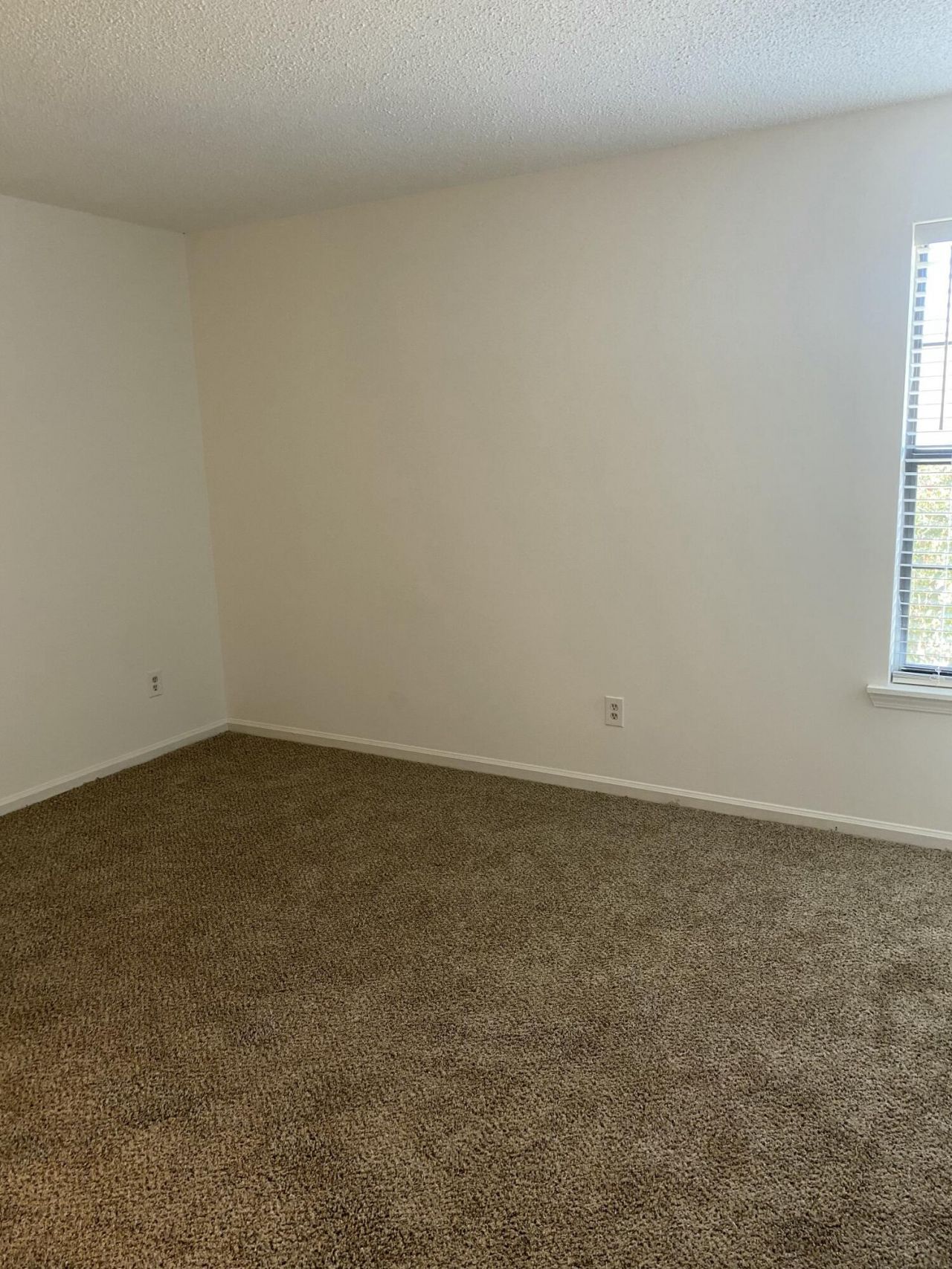 8040 Thelen Street Photo 5