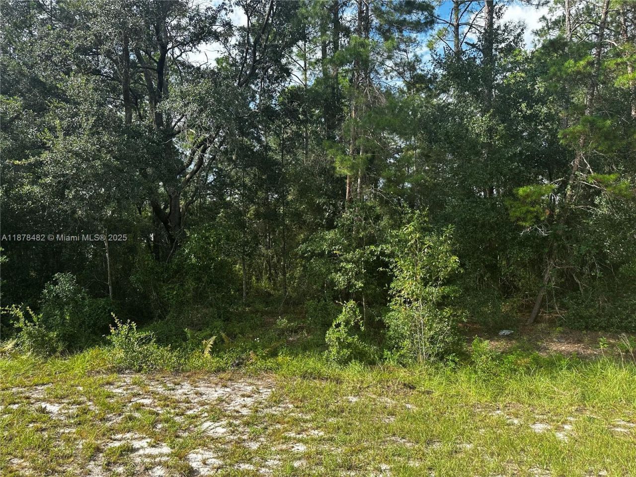 17873 E Highway 40, Ocala, FL 34488 Photo
