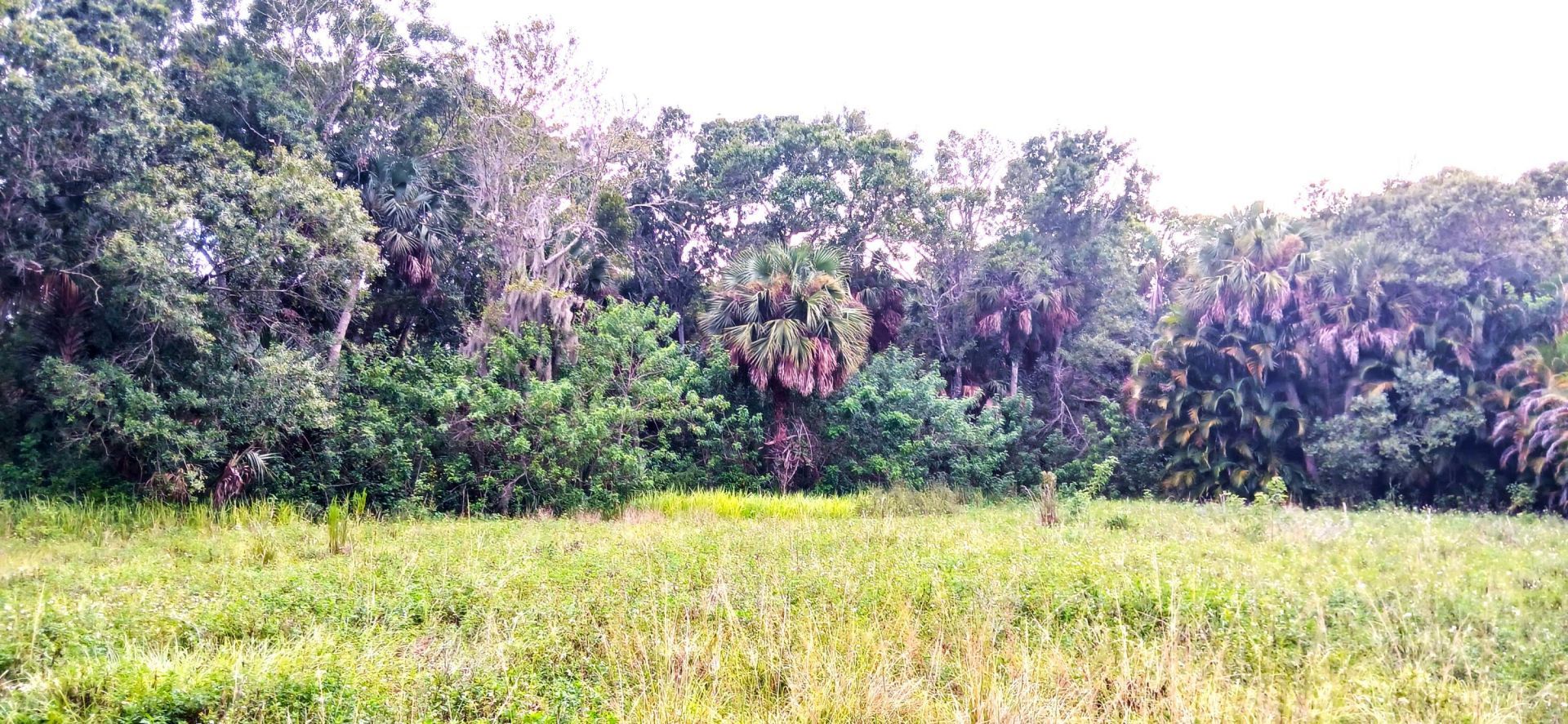 Tbd S Us Hwy 1, Fort Pierce, FL 34982 Photo