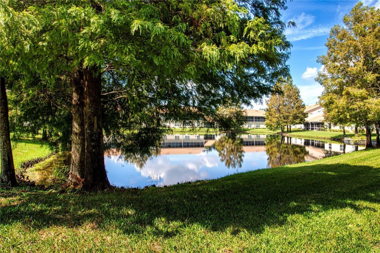 6426 Bay Cedar Lane, Unit 101, Bradenton, FL 34203 Photo
