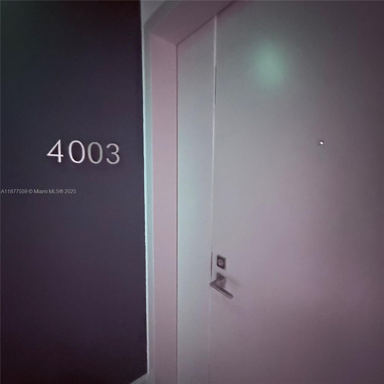 55 SW 9th St, Unit 4003, Miami, FL 33130 Photo