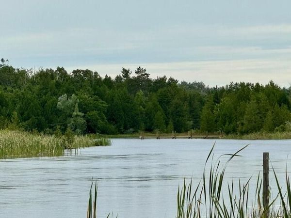 Lot 12 Lower Mograin, Cheboygan, MI 49721