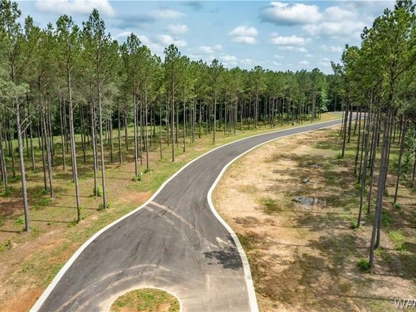 Lot 14 stormi Way, Berry, AL 35546