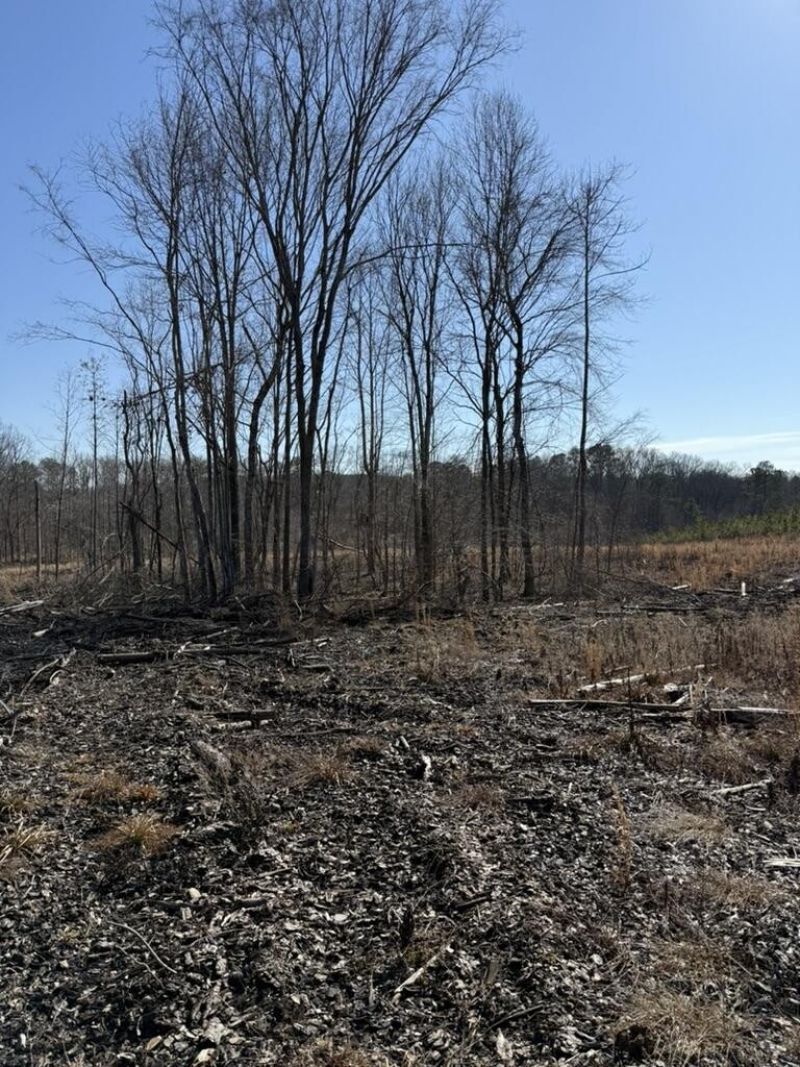 0 Armstrong 1101-3 Road Se, Cleveland, TN 37323 Main Photo