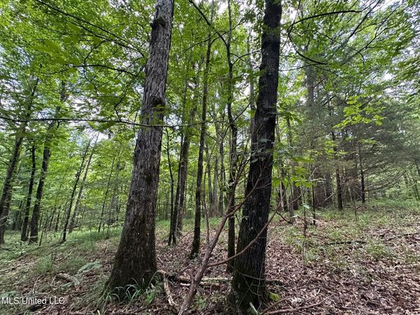 1 Rockport Road, Lexington, MS 39095