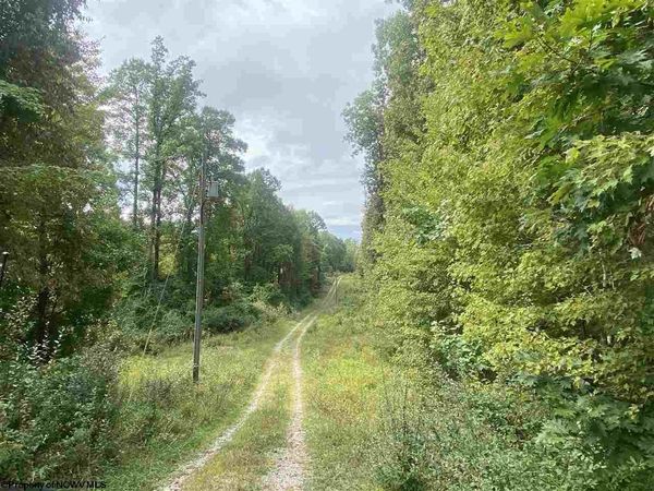 TBD Helens Run Road, Worthington, WV 26591