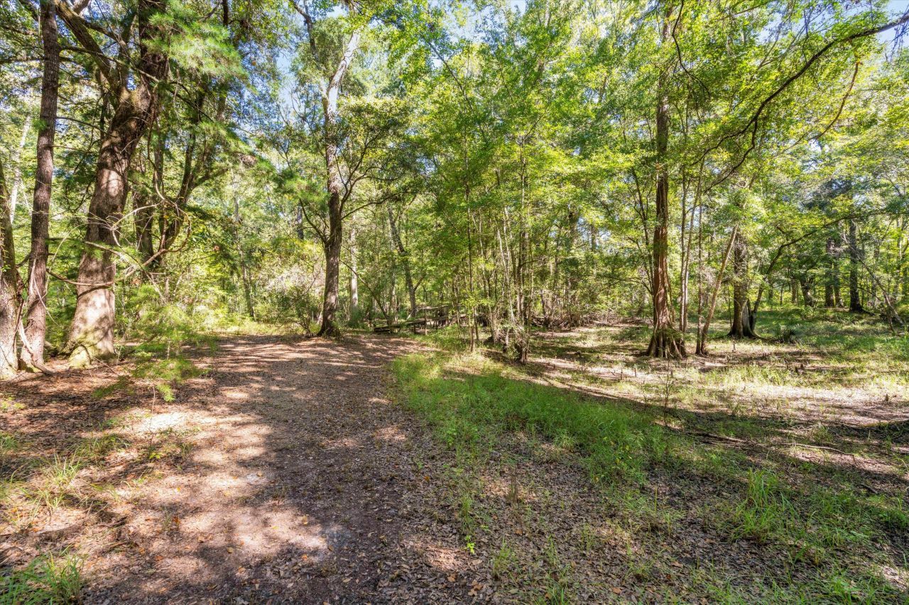 139 Badger Lane Photo 12