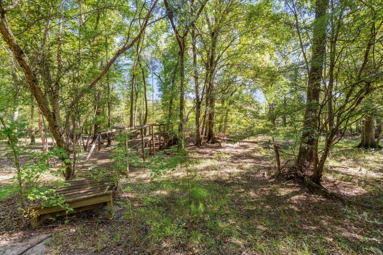 139 Badger Lane Photo 13