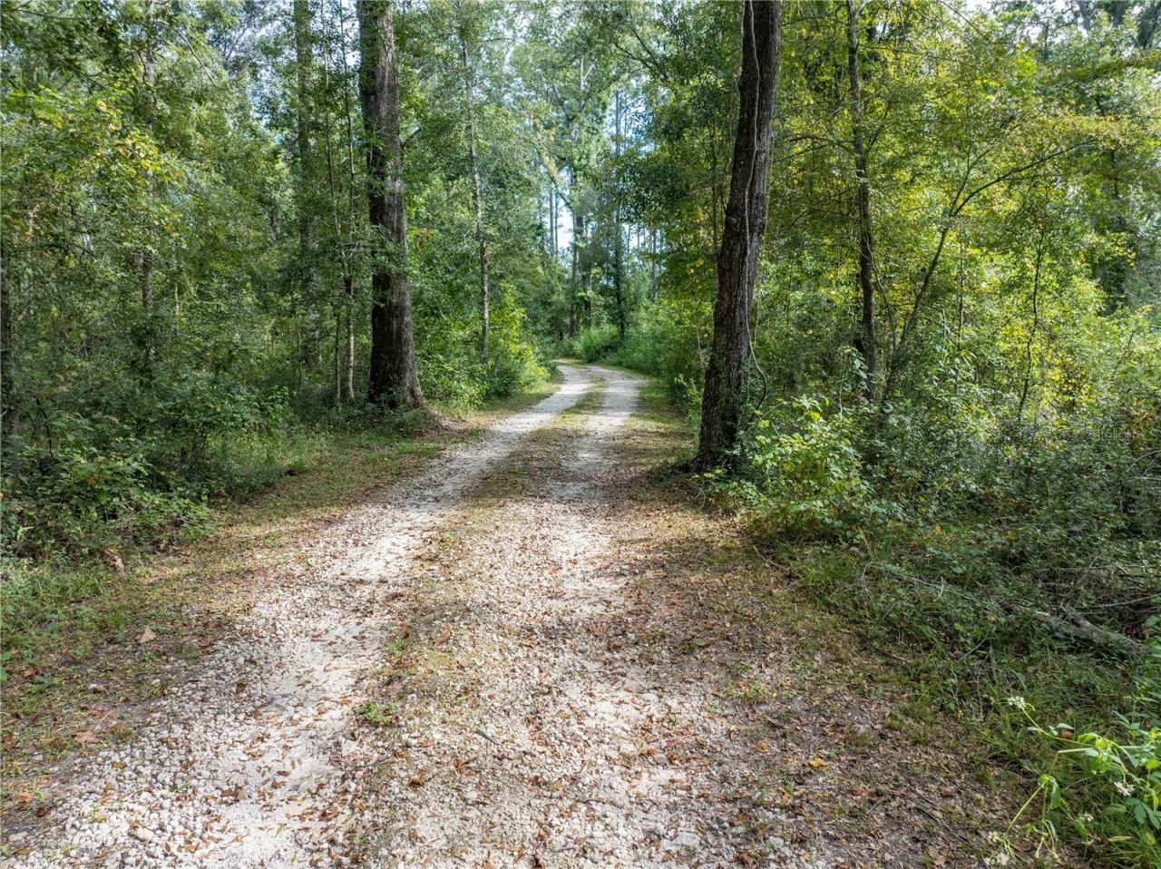 22205 N County Road 349, O Brien, FL 32071 Photo