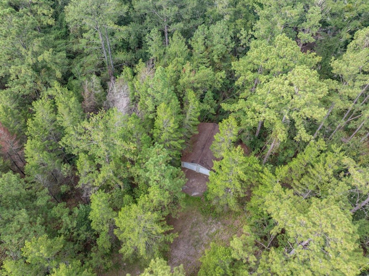 22205 N County Road 349, O Brien, FL 32071 Photo