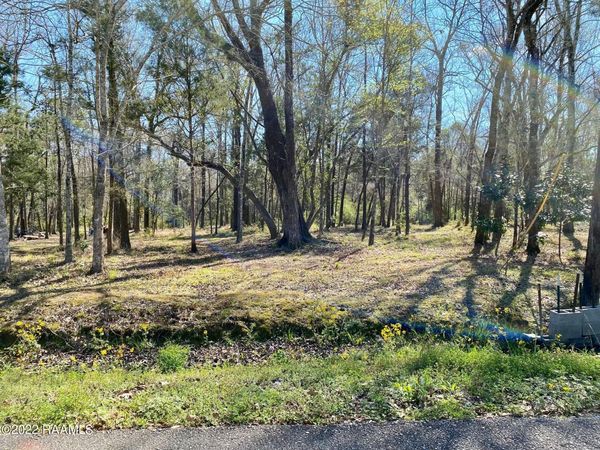 511 Evelyn Drive , Abbeville, LA 70510