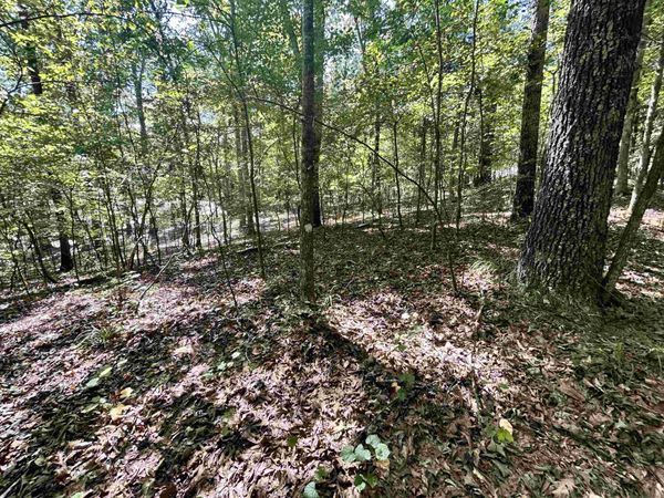 65 WOODRUN DR, Middleton, TN 38052