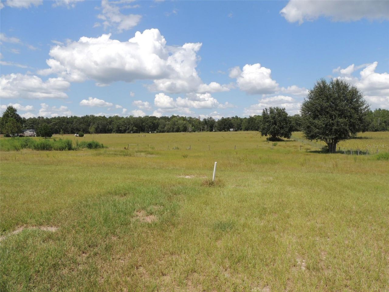 9871 NE 60th Street, Bronson, FL 32621 Photo