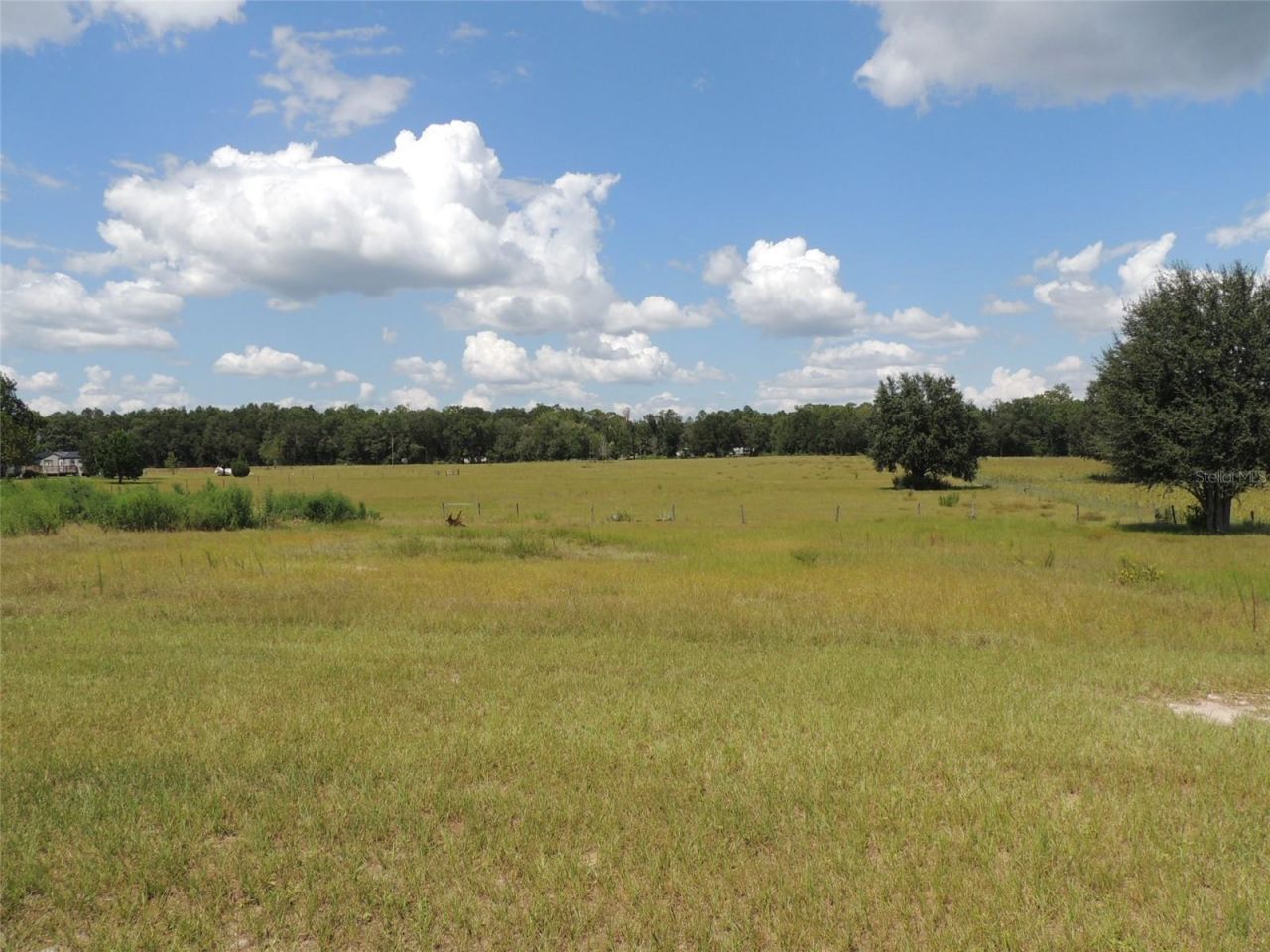 9871 NE 60th Street, Bronson, FL 32621 Photo