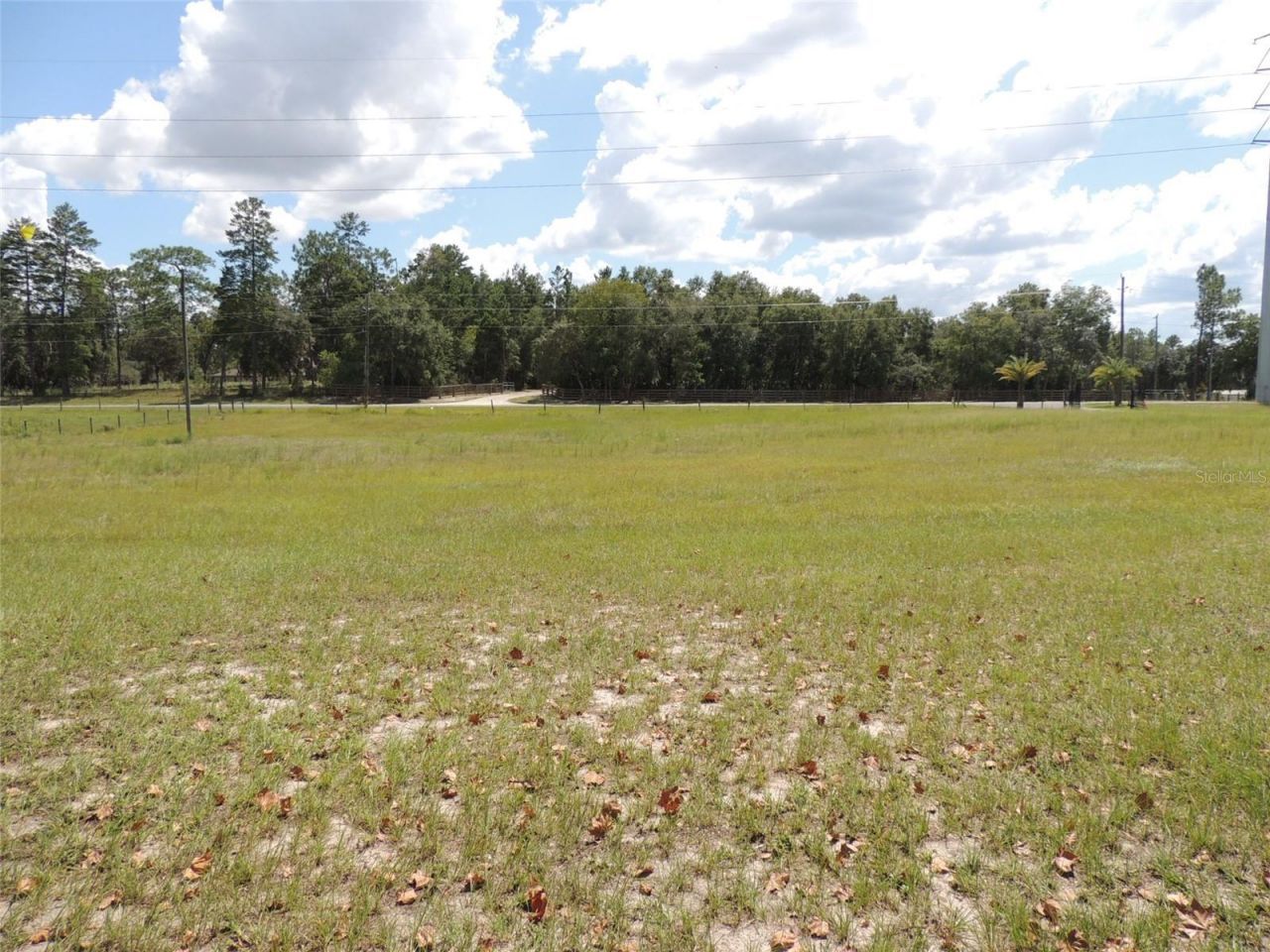 9871 NE 60th Street, Bronson, FL 32621 Photo