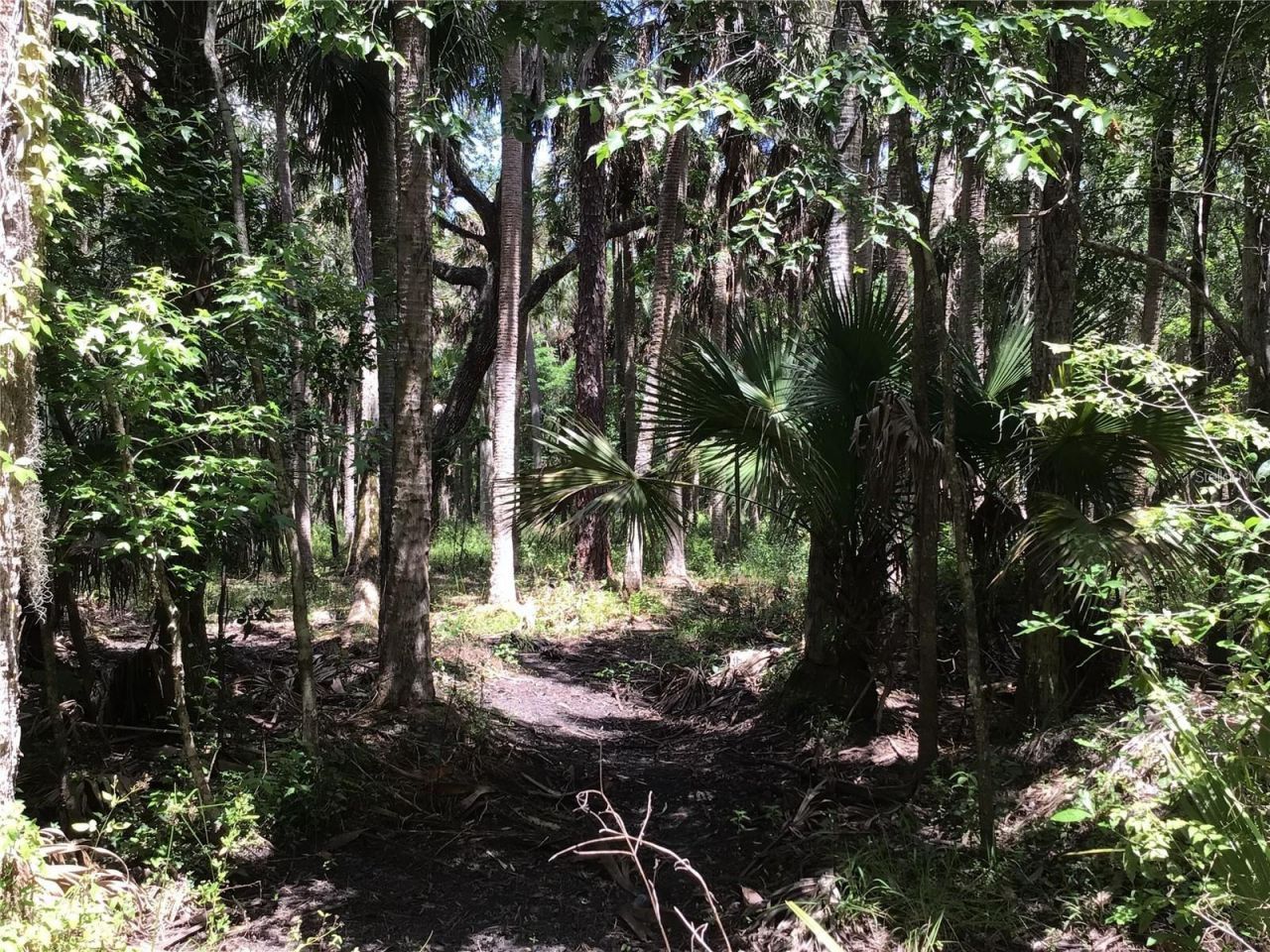 S Mellonville Avenue, Sanford, FL 32773 Photo