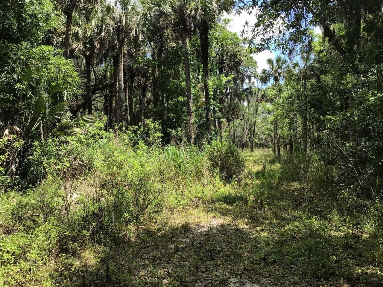 S Mellonville Avenue, Sanford, FL 32773 Photo