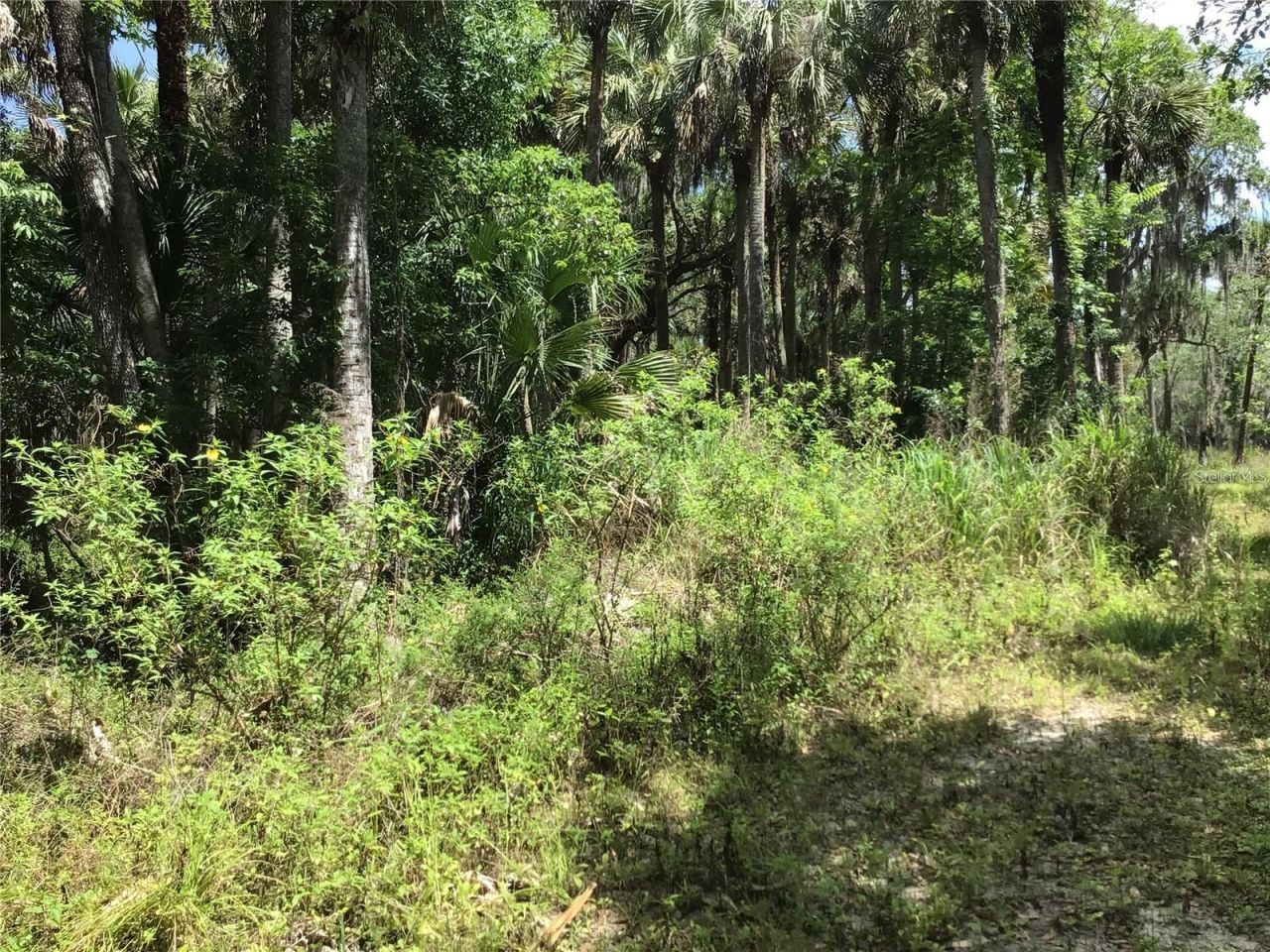 S Mellonville Avenue, Sanford, FL 32773 Photo