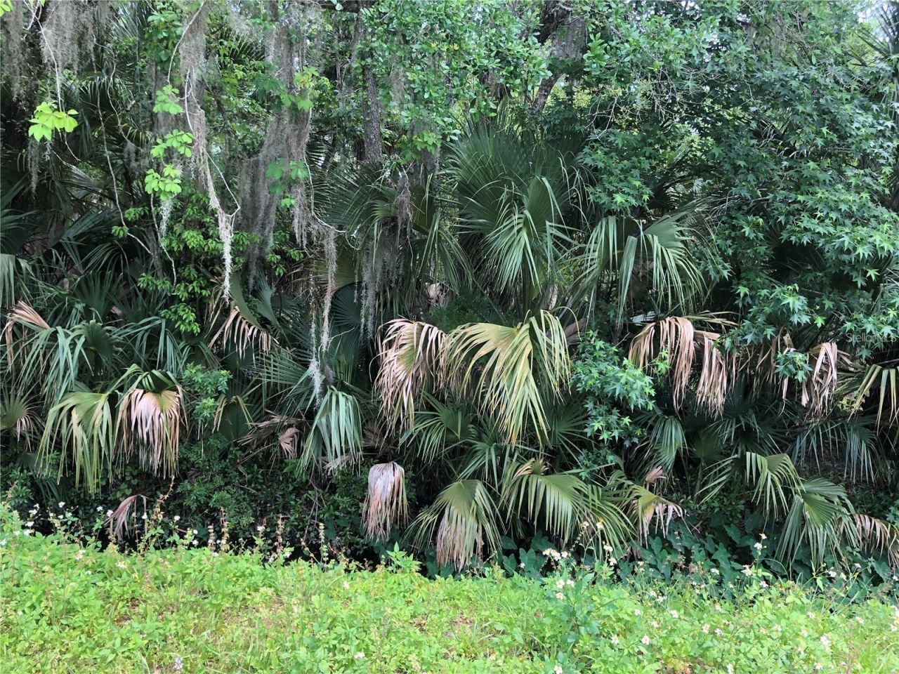 S Mellonville Avenue, Sanford, FL 32773 Photo