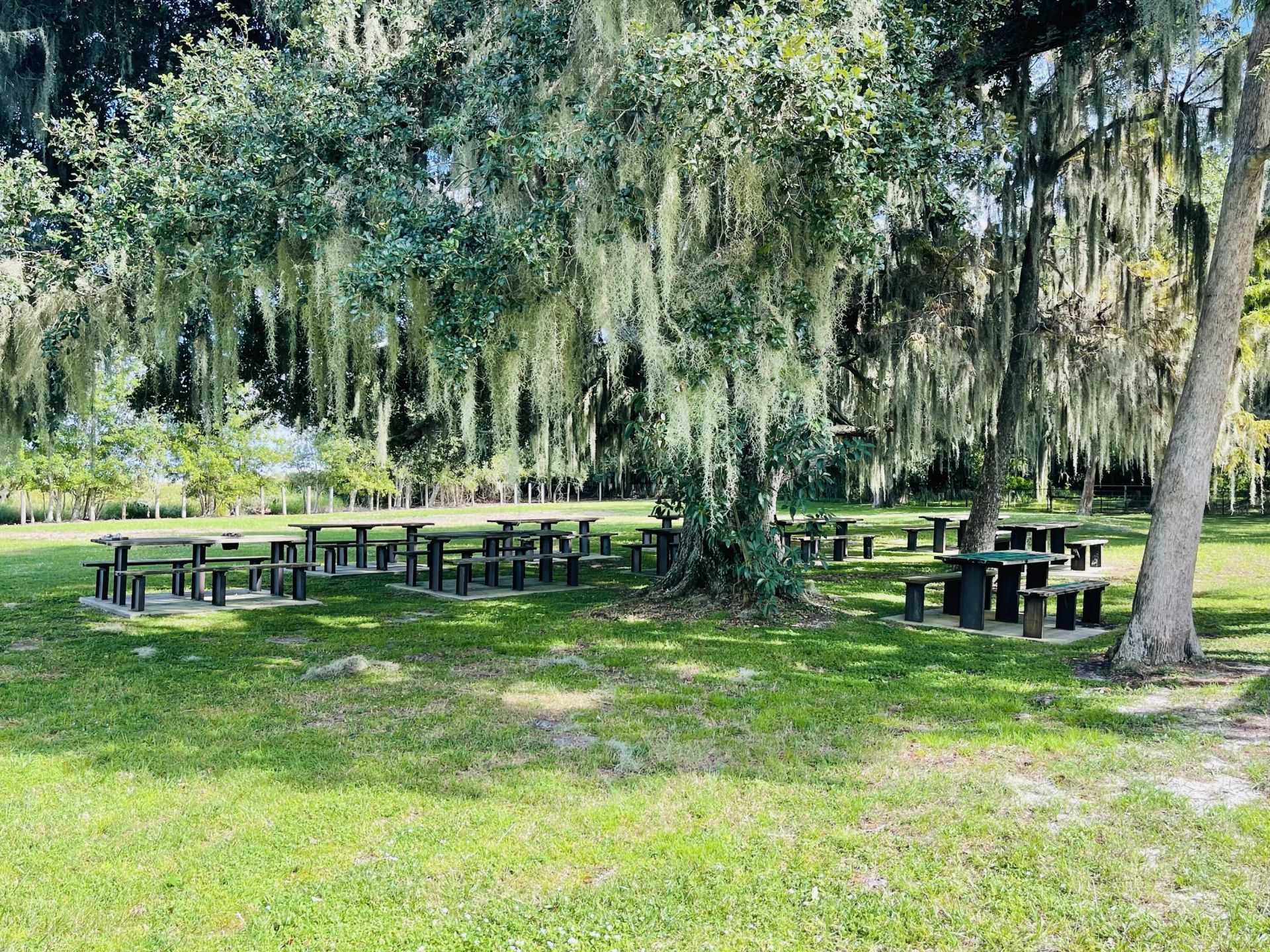 1610 Pruitts Landing, Lake Placid, FL 33852 Photo