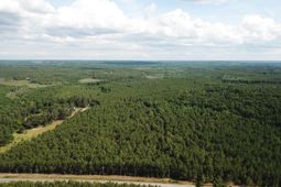 5051 Spring Hill Road photo 4