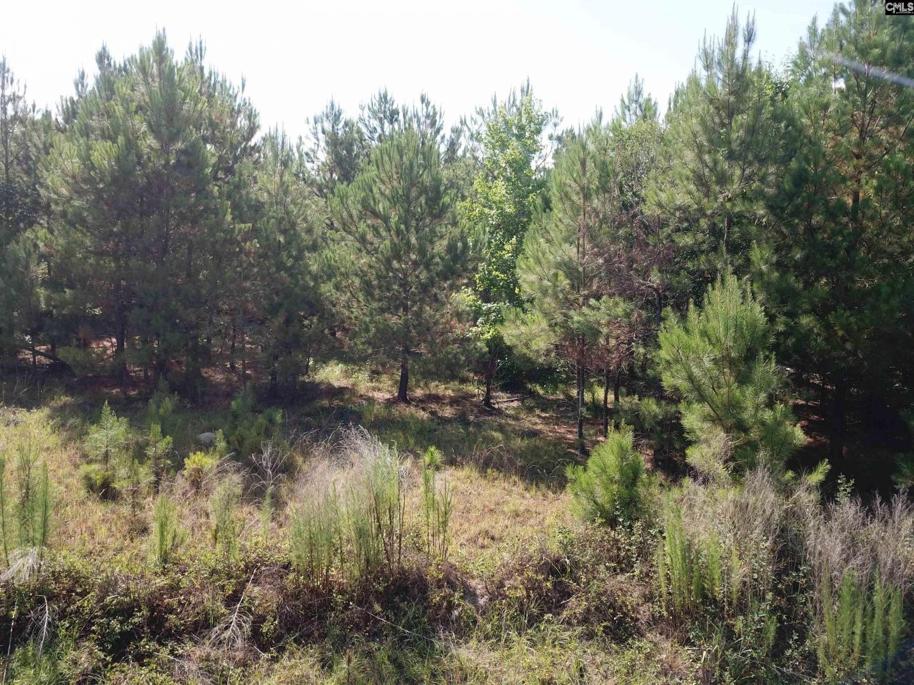 5051 Spring Hill Road Photo 7