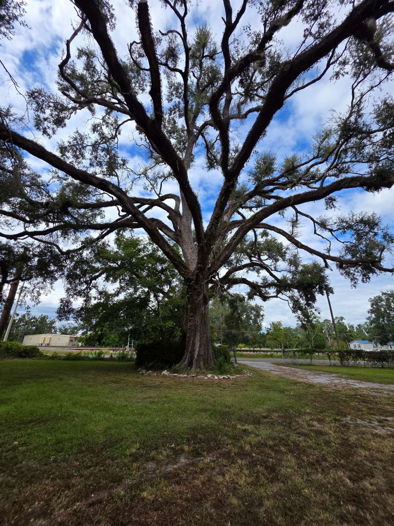 7326 SE Farm Road, Lee, FL 32059 Photo