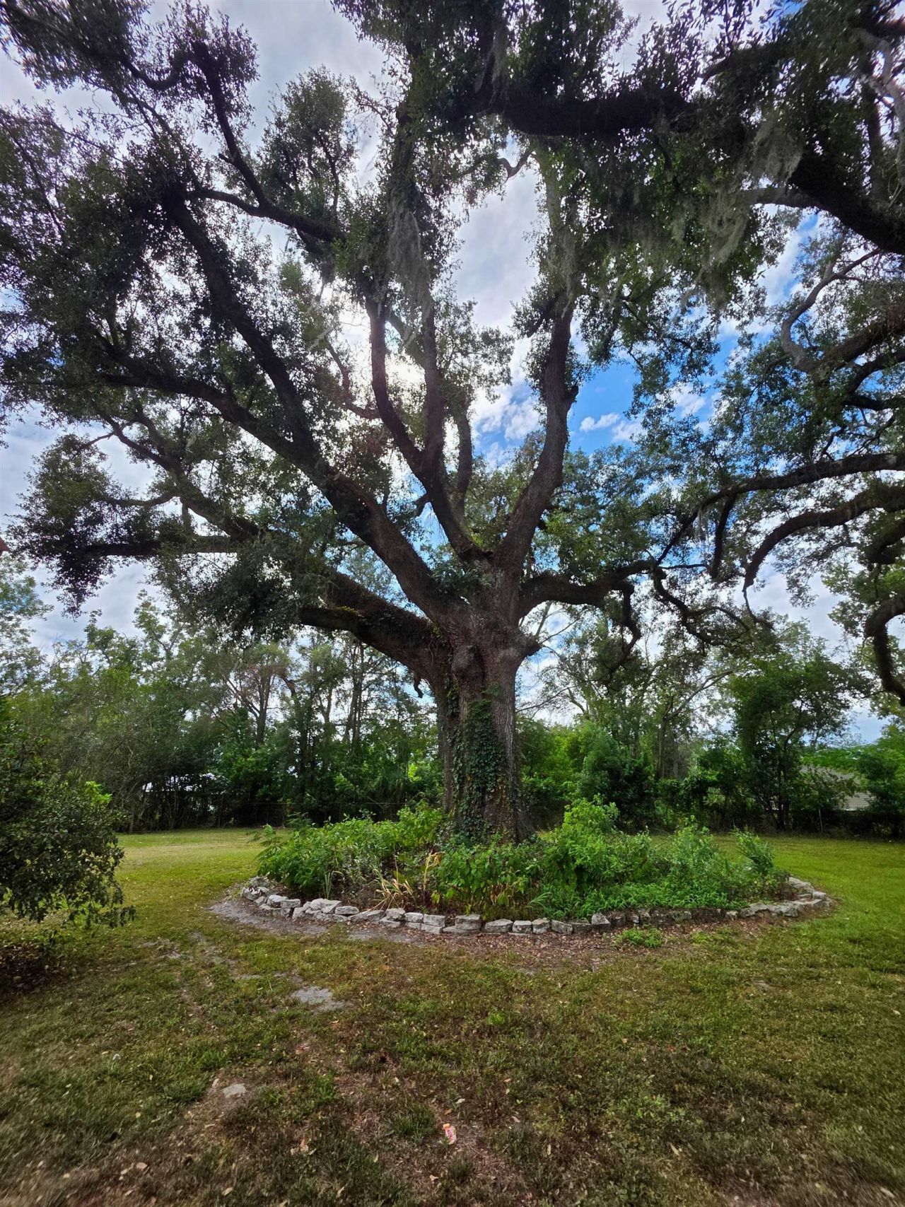 7326 SE Farm Road, Lee, FL 32059 Photo