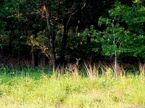 2404 County Road 320, Floresville, TX 78114